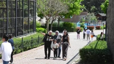 Mersin Büyükşehir Belediyesi Sosyal Hizmetler Dairesi Başkanlığı Şehit Aileleri ve