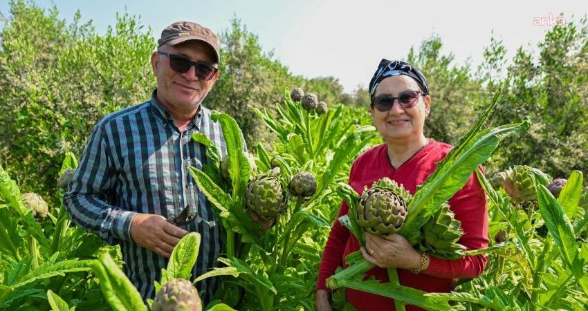 Mersin Büyükşehir Belediyesi tarafından 2025 yılında ilk kez uygulamaya alınan