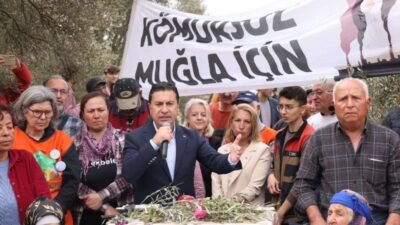 Muğla Büyükşehir Belediye Başkanı Ahmet Aras, Danıştay 6. Dairesi’nin Akbelen