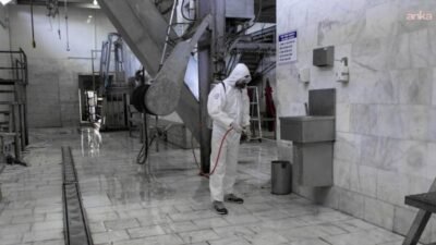 Muğla Büyükşehir Belediyesi, mezbahalarda hazırlıklarını tamamladı Muğla Büyükşehir Belediyesi, Kurban Bayramı süresince vatandaşların güvenli ve hijyenik