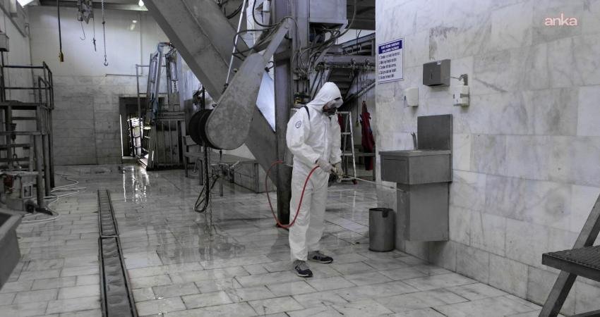 Muğla Büyükşehir Belediyesi, mezbahalarda hazırlıklarını tamamladı Muğla Büyükşehir Belediyesi, Kurban Bayramı süresince vatandaşların güvenli ve hijyenik