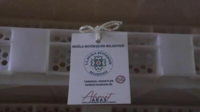 Muğla Büyükşehir Belediyesi, Köyceğiz ilçesinde kadimden bu yana sürdürülen ipek