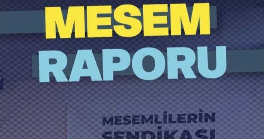 Öğrenci Sendikası, Kocaeli’nin Gebze ilçesinde MESEM’li öğrencilerle yapılan araştırmada, ankete katılan 926