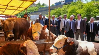 Ortahisar Belediyesi, Kurban Bayramı hazırlıklarını tamamladı. Belediye Başkanı Ahmet Kaya,