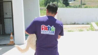 İzmir Büyükşehir Belediyesi’ne bağlı bakımevlerinde yalnızca sokak hayvanları değil, terk