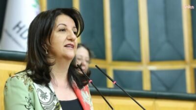 DEM Parti İmralı Heyeti üyesi, Van Milletvekili ve TBMM Başkanvekili