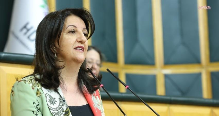 DEM Parti İmralı Heyeti üyesi, Van Milletvekili ve TBMM Başkanvekili