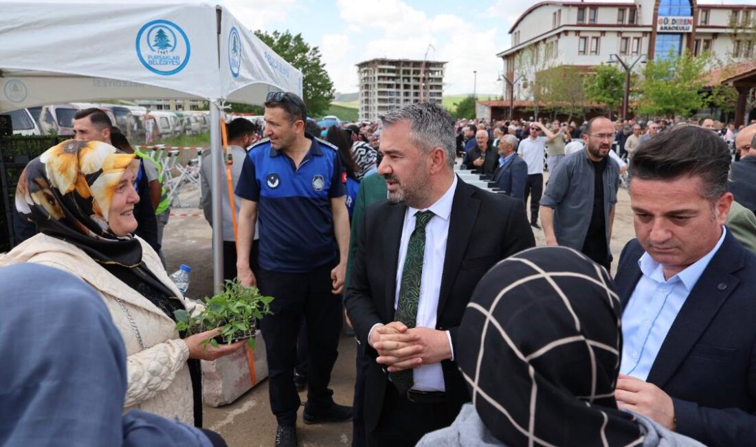 Pursaklar’da binlerce sebze fidesi vatandaşlara dağıtıldı Pursaklar Belediyesi tarafından geleneksel hale getirilen sebze fidesi dağıtım etkinliğinin