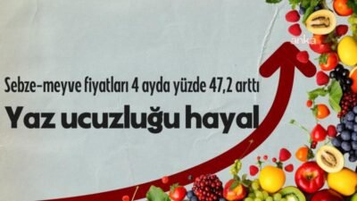 Türkiye’de, son yıllarda gıda fiyatları baş döndüren bir hızla artıyor.