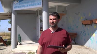 Seferihisar Belediyesi, sıfır atık ve dijital dönüşüm kapsamında Veteriner İşleri
