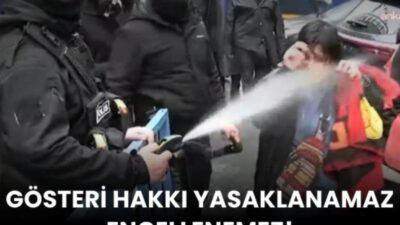 Emek Partisi Genel Başkanı Seyit Aslan, 1 Mayıs’ı Taksim’de kutlamak