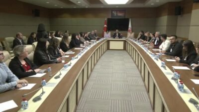 CHP Genel Başkan Yardımcısı Suat Özçağdaş, Dünya Psikologlar Günü dolayısıyla TBMM'de