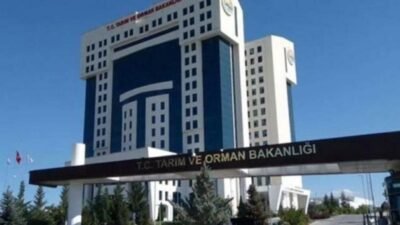 Tarım ve Orman Bakanlığı, "Yeni yönetmelikle yapay ete izin veriliyor"