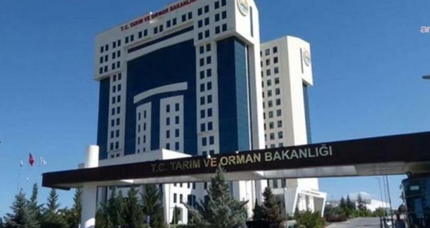 Tarım ve Orman Bakanlığı, "Yeni yönetmelikle yapay ete izin veriliyor"