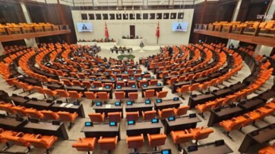 TBMM Genel Kurulu'nda konuşan CHP Ordu Milletvekili Seyit Torun, Tapu Kanunu