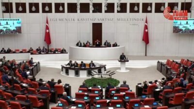 DEM Parti İstanbul Milletvekili Celal Fırat'ın "Dersim’de yaşananlar soykırım değil