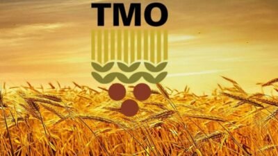 TMO, buğday ve arpa ürünlerinin teslim alınmasına başlanacağını duyurdu Toprak Mahsulleri Ofisi, depo ihtiyacı bulunan üreticiler için 2026 mahsulü