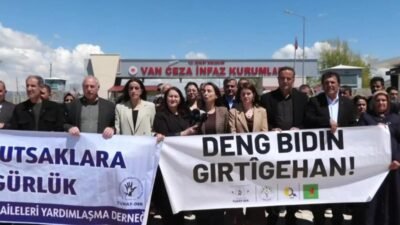 DEM Parti Eş Genel Başkanı Tülay Hatimoğulları, çözüm sürecinde atılacak