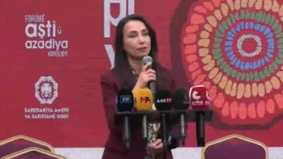 DEM Parti Eş Genel Başkanı Tülay Hatimoğulları, Diyarbakır’daki “Toplumsal Barış