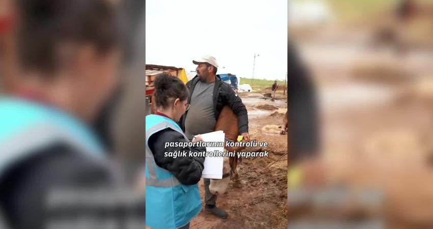Tuzla Belediyesi, Kurban Bayramı süresince vatandaşların sağlıklı ve güvenli bir