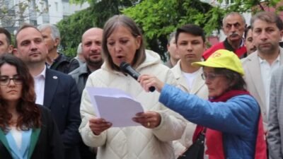 Ünye Çevre Platformu, MAPEG’in Ünye, İkizce, Kumru ve Çaybaşı’nı kapsayan