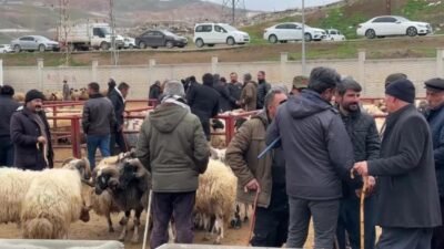 Van’da hayvan pazarında çıkan silahlı kavga sonucu 1 kişi öldü,