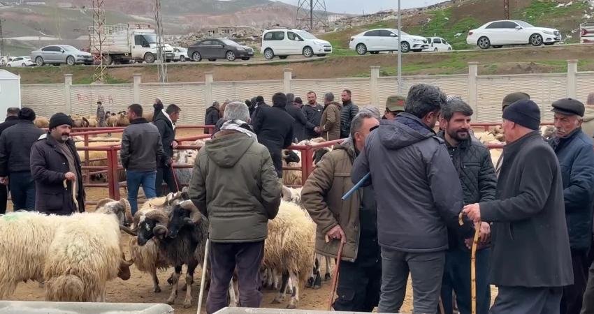 Van’da hayvan pazarında çıkan silahlı kavga sonucu 1 kişi öldü,