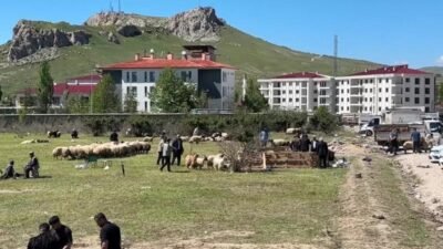 Van'ın İpekyolu ilçesi Şerefiye Mahallesi'nde kurulan kurban pazarı bayramın ikinci