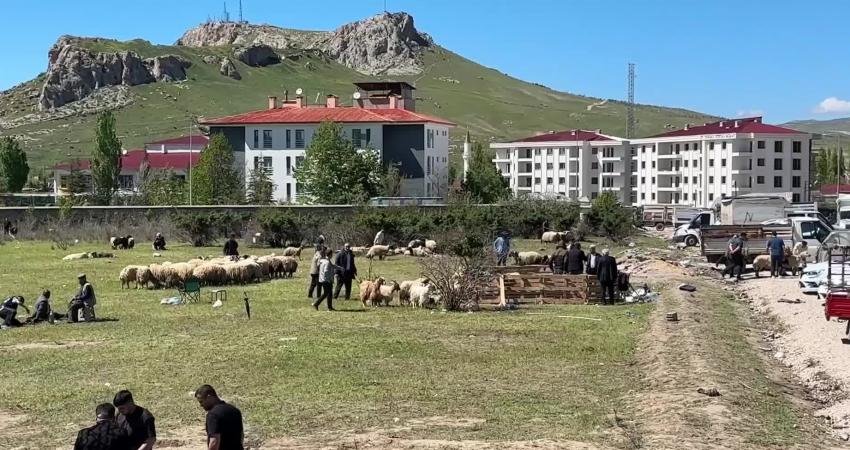 Van'ın İpekyolu ilçesi Şerefiye Mahallesi'nde kurulan kurban pazarı bayramın ikinci