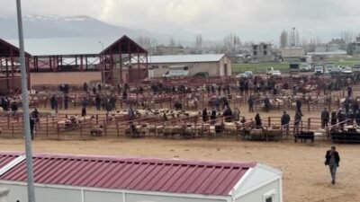 Van'da besiciler, kurban bayramı öncesi hayvan pazarında beklenen hareketlilik yaşanmadığından
