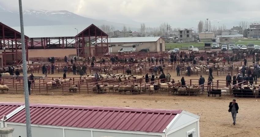 Van'da besiciler, kurban bayramı öncesi hayvan pazarında beklenen hareketlilik yaşanmadığından