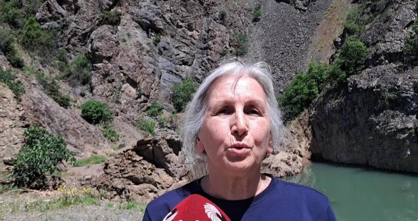Yeşil Artvin Derneği Başkanı Neşe Karahan, AK Parti Artvin Milletvekili