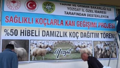 Yozgat’ta Tarım ve Orman Bakanlığı ve İl Özel İdaresi tarafından