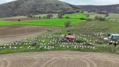 Yozgat’ta yağışlı geçen kış sezonunun ardından gelen baharla birlikte doğadaki