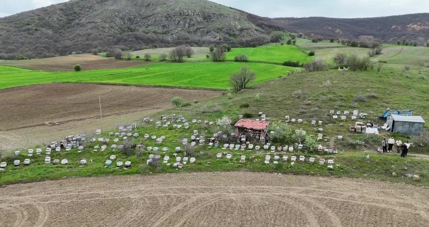 Yozgat’ta yağışlı geçen kış sezonunun ardından gelen baharla birlikte doğadaki