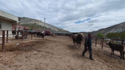 Yozgat’ın Sorgun, Boğazlıyan ve Kadışehri ilçelerinde her hafta belirli günlerde