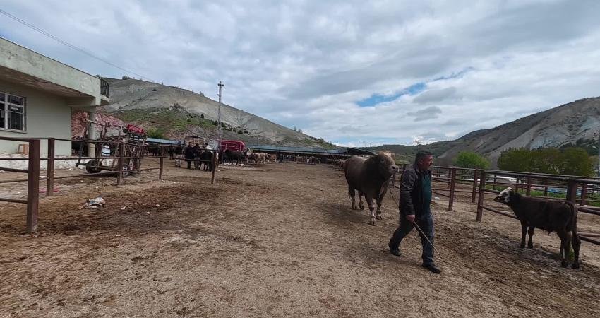Yozgat’ın Sorgun, Boğazlıyan ve Kadışehri ilçelerinde her hafta belirli günlerde