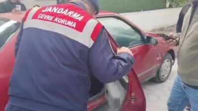 Yozgat’ın Sarıkaya ilçesine bağlı Karayalup Köyü yakınlarında yurttaşlar tarafından bulunan,