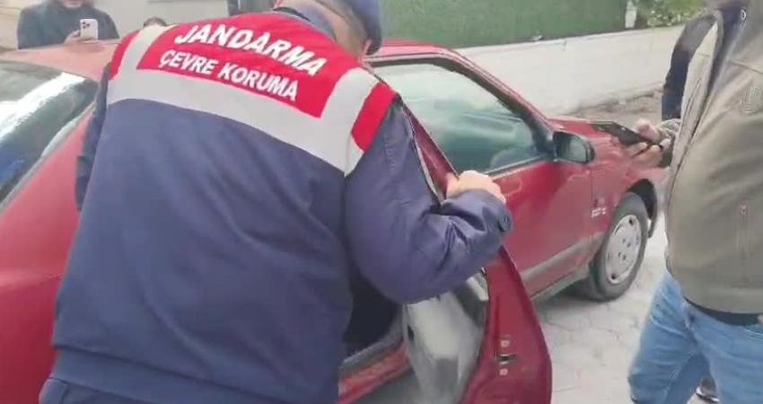 Yozgat’ın Sarıkaya ilçesine bağlı Karayalup Köyü yakınlarında yurttaşlar tarafından bulunan,