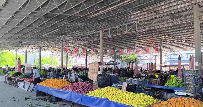 Osmaniye'de vatandaşlar geçim sıkıntısından dert yandı. Pazarda dut ve nane
