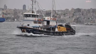 Türkiye İstatistik Kurumu'na (TÜİK) göre, su ürünleri üretimi 2025 yılında bir
