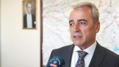 ABB, yaz aylarında artış gösteren sivrisinek ve karasineklere karşı kent