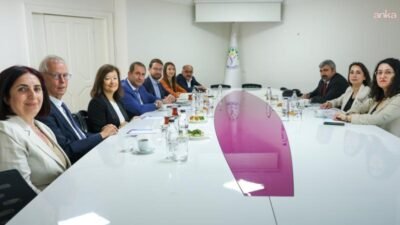 DEM Parti, Avrupa Konseyi Parlamenter Meclisi bünyesindeki Avrupa Birleşik Sol