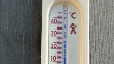 Almanya, rekor sıcaklıkların görülebileceği tarihi bir sıcak hava dalgasının etkisine