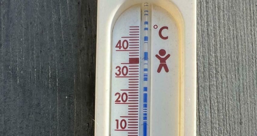 Almanya, rekor sıcaklıkların görülebileceği tarihi bir sıcak hava dalgasının etkisine