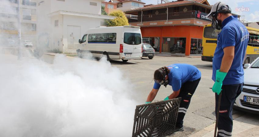 Antalya Büyükşehir Belediyesi, kent genelinde yürüttüğü vektörle mücadele çalışmalarını yoğun