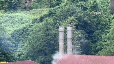 Rize’nin Ardeşen ilçesine bağlı Işıklı Mahallesi’nde faaliyet gösteren ÇAYKUR’a ait