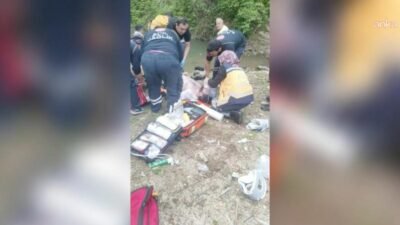 Artvin'in Arhavi ilçesine bağlı Ulaş Köyü'nde serinlemek amacıyla gölete giren