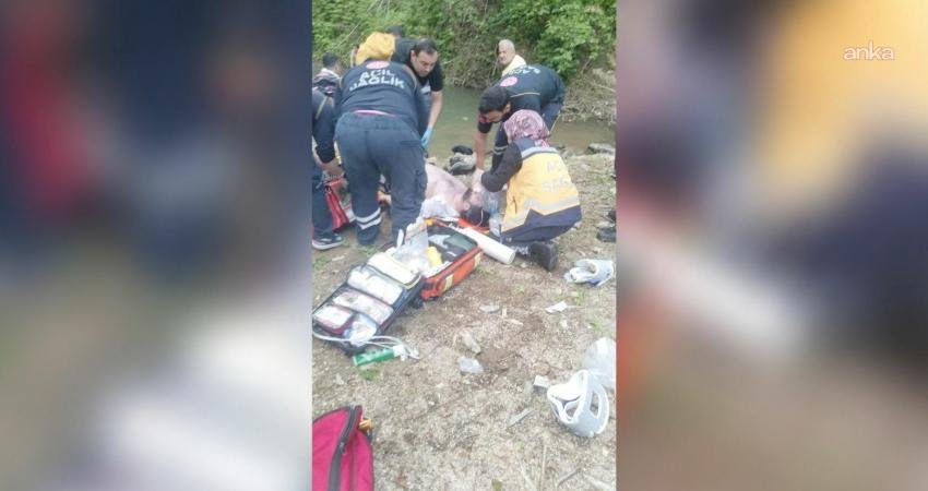 Artvin'in Arhavi ilçesine bağlı Ulaş Köyü'nde serinlemek amacıyla gölete giren