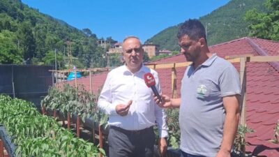Artvin’in Borçka Belediyesi tarafından İsmet Acar Sosyal Tesisleri kafeteryasının çatısında